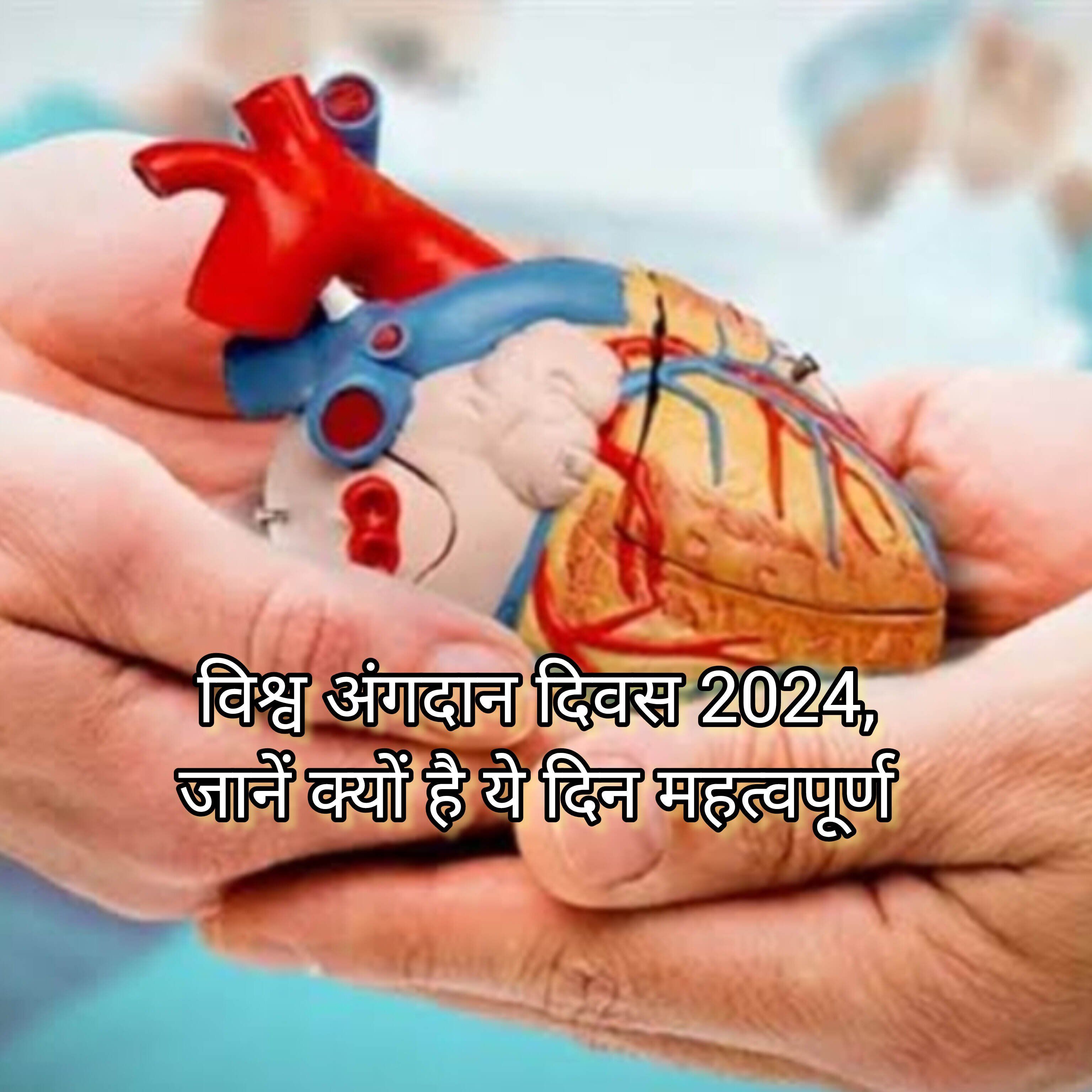 विश्व अंगदान दिवस 2024, जानें क्यों है ये दिन महत्वपूर्ण