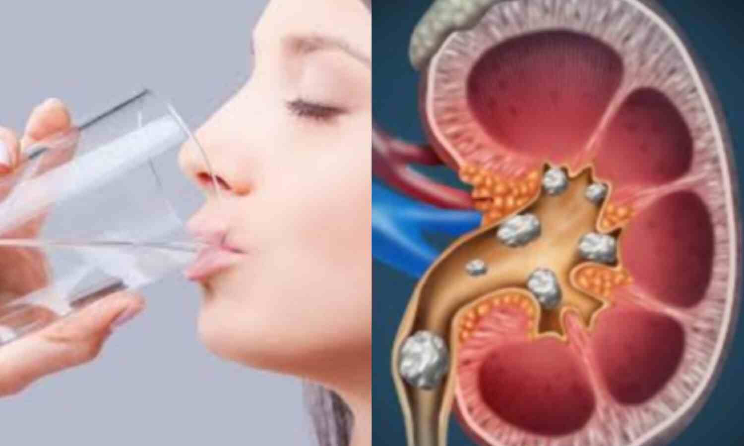 किडनी की सेहत के लिए पानी का महत्व, कितना पानी पीना चाहिए?