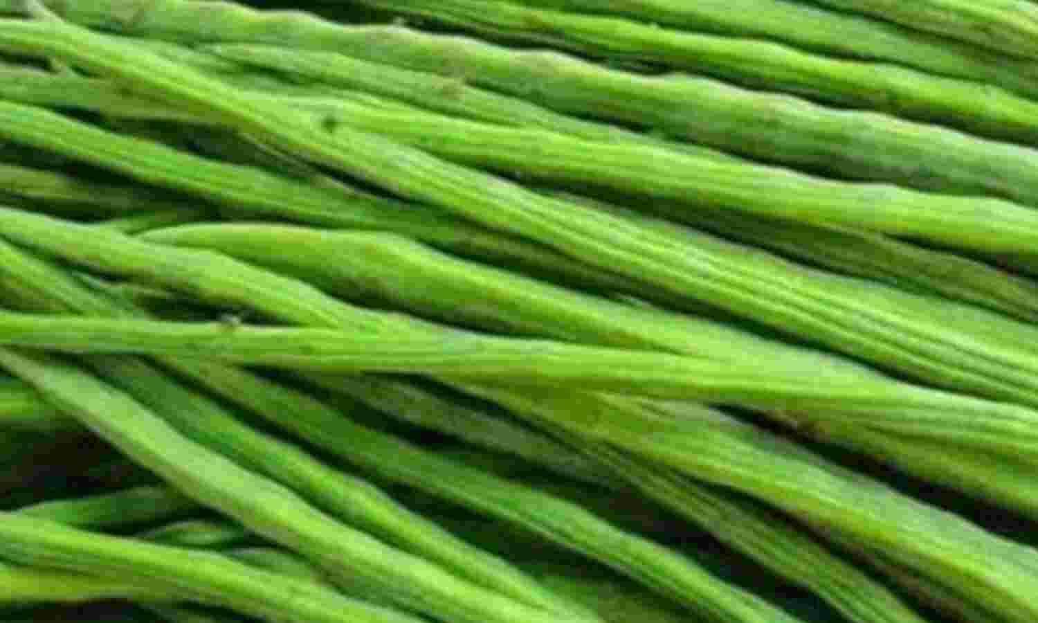 सहजन है पोषण का खजाना