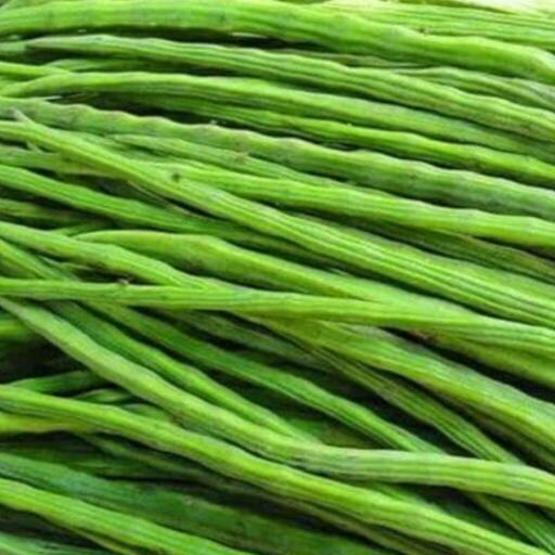 सहजन है पोषण का खजाना सहजन है पोषण का खजाना