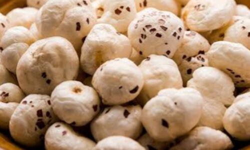 मखाने है सेहत का खजाना मखाने है सेहत का खजाना