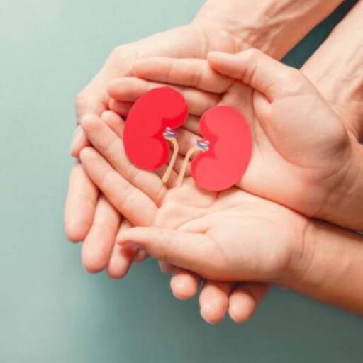 विश्व अंगदान दिवस, जानिए अंगदान से जुड़े महत्वपूर्ण सवालों के जवाब