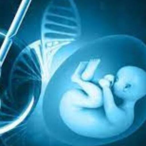 टेस्ट ट्यूब बेबी, एक विस्तृत समझ