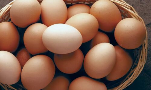 अंडे खाने के फायदे और नुकसान, एक विस्तृत जानकारी