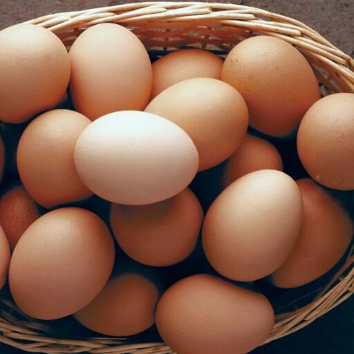 अंडे खाने के फायदे और नुकसान, एक विस्तृत जानकारी