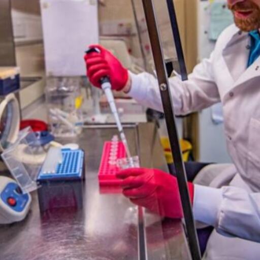 न्यू हैम्पशायर में EEEV संक्रमण से एक व्यक्ति की मृत्यु, स्वास्थ्य सुरक्षा के प्रति जागरूकता की आवश्यकता न्यू हैम्पशायर में EEEV संक्रमण से एक व्यक्ति की मृत्यु, स्वास्थ्य सुरक्षा के प्रति जागरूकता की आवश्यकता