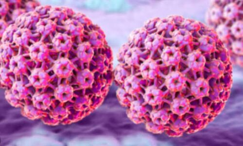 एचपीवी वायरस, जानिए इसके बारे में सबकुछ एचपीवी वायरस, जानिए इसके बारे में सबकुछ