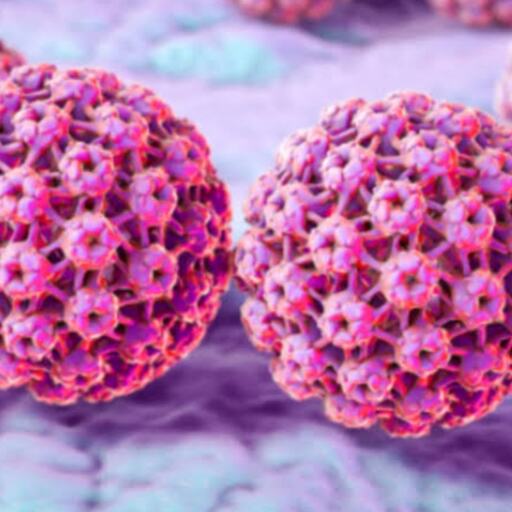 एचपीवी वायरस, जानिए इसके बारे में सबकुछ एचपीवी वायरस, जानिए इसके बारे में सबकुछ