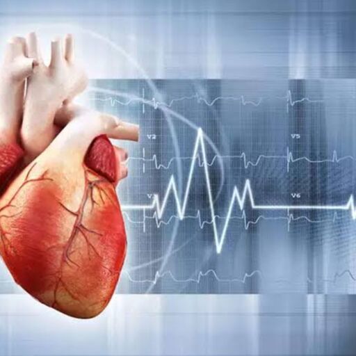 рджрд┐рд▓ рдХреА рдмреАрдорд╛рд░реА, рдмрдврд╝рддреЗ рдЦрддрд░реЗ рдХреЛ рд╕рдордЭреЗрдВ рдФрд░ рдмрдЪрд╛рд╡ рдХрд░реЗрдВ рджрд┐рд▓ рдХреА рдмреАрдорд╛рд░реА, рдмрдврд╝рддреЗ рдЦрддрд░реЗ рдХреЛ рд╕рдордЭреЗрдВ рдФрд░ рдмрдЪрд╛рд╡ рдХрд░реЗрдВ