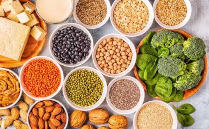 शाकाहारियों के लिए प्रोटीन का खजाना, पौधों पर आधारित ये खाद्य पदार्थ हैं प्रोटीन का बेहतरीन विकल्प