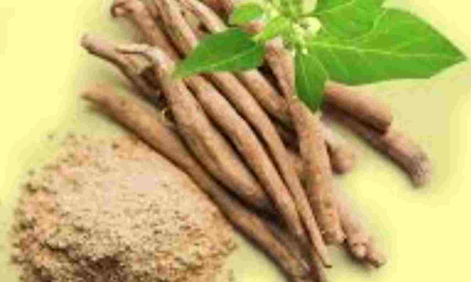 अश्वगंधा है यूरिक एसिड को कम करने का प्राकृतिक उपाय