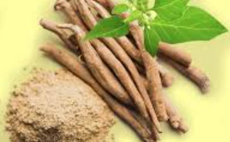 अश्वगंधा है यूरिक एसिड को कम करने का प्राकृतिक उपाय अश्वगंधा है यूरिक एसिड को कम करने का प्राकृतिक उपाय