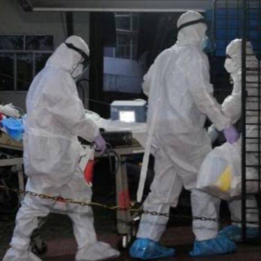 निपाह वायरस केरल में बढ़ता खतरा, जानें लक्षण, कारण और बचाव के उपाय निपाह वायरस केरल में बढ़ता खतरा, जानें लक्षण, कारण और बचाव के उपाय