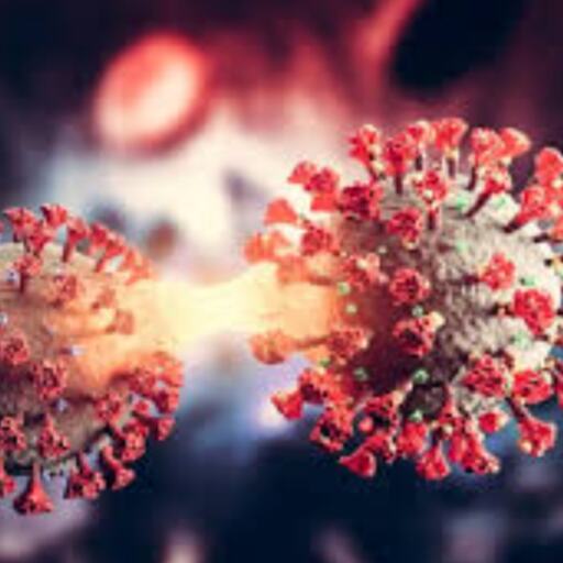 कोरोना का नया वेरिएंट XEC, जानिए इसके बारे में 5 जरूरी बातें