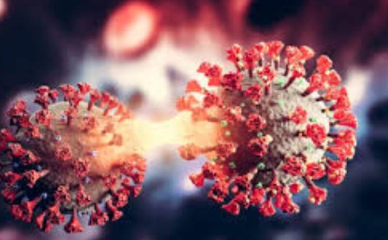 कोरोना का नया वेरिएंट XEC, जानिए इसके बारे में 5 जरूरी बातें