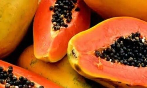 सुबह-सुबह पपीता खाने से मिलते हैं ये गजब के फायदे!