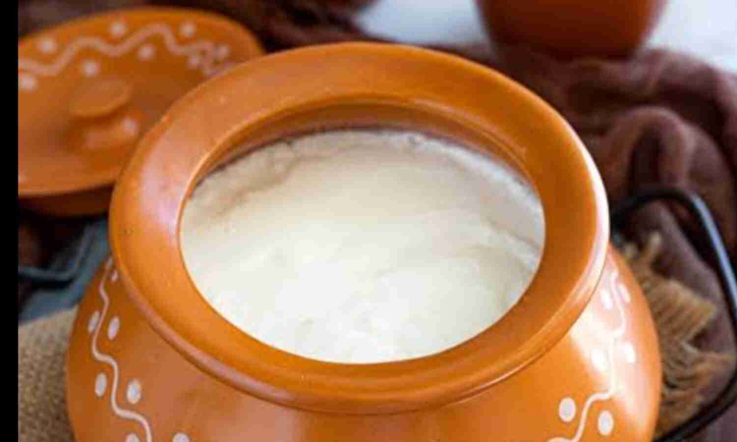 दही सिर्फ एक स्वादिष्ट खाद्य पदार्थ ही नहीं, बल्कि यह है एक पोषक तत्वों का खजाना  भी