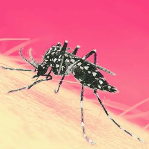 рд░рд╛рдЬрд╕реНрдерд╛рди рдореЗрдВ рдбреЗрдВрдЧреВ рдХрд╛ рд╕рдВрдХрдЯ рдЫрд╛рдпрд╛, рдЫрд╣ рдореМрддреЛрдВ рдХреА рд╣реБрдИ рдкреБрд╖реНрдЯрд┐ рд░рд╛рдЬрд╕реНрдерд╛рди рдореЗрдВ рдбреЗрдВрдЧреВ рдХрд╛ рд╕рдВрдХрдЯ рдЫрд╛рдпрд╛, рдЫрд╣ рдореМрддреЛрдВ рдХреА рд╣реБрдИ рдкреБрд╖реНрдЯрд┐