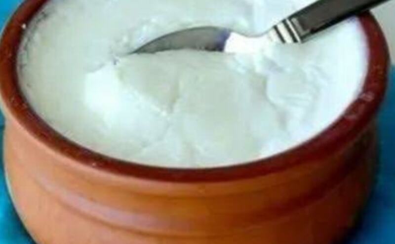 दही में है स्वास्थ्य का खजाना, पोषक तत्वों से भरपूर एक अद्भुत खाद्य पदार्थ