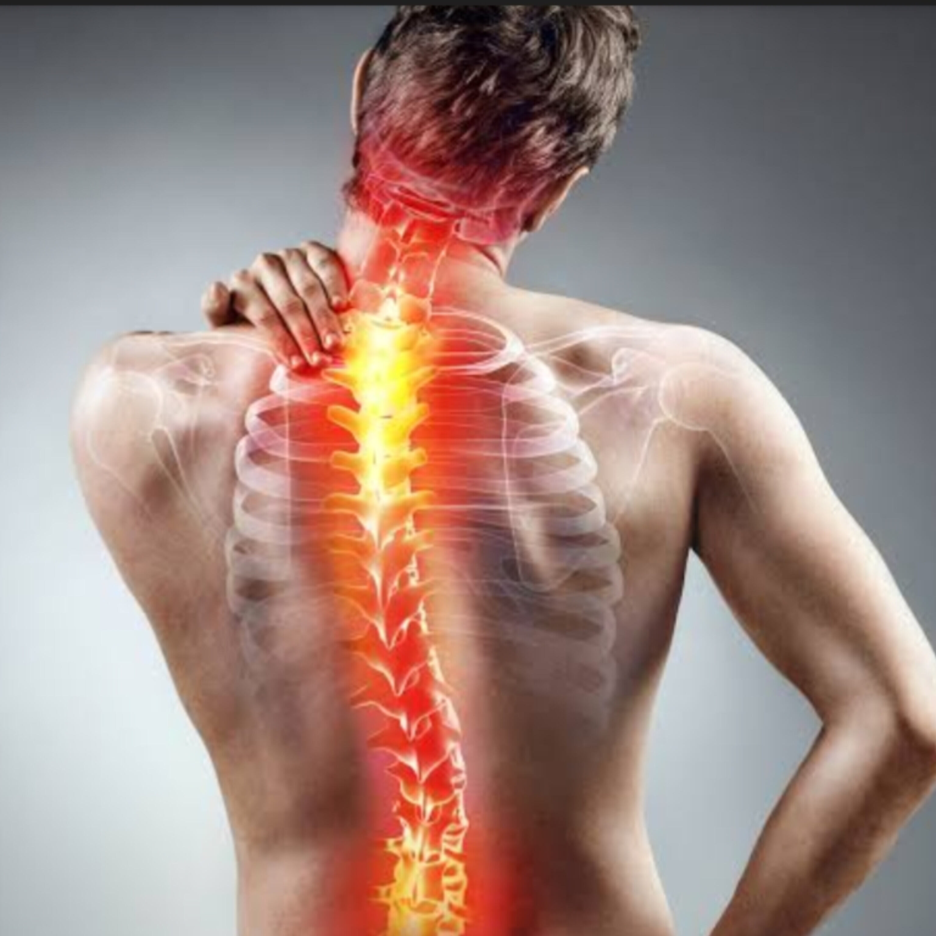 रीढ़ की हड्डी की सेहत, World Spine Day 2024 पर बचाव के उपाय