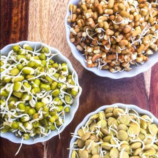 рд╕реНрдкреНрд░рд╛рдЙрдЯреНрд╕ рд╣реИ рд╕реНрд╡рд╛рд╕реНрдереНрдп рдХреЗ рд▓рд┐рдП рдПрдХ рдЕрдирдореЛрд▓ рд╕реБрдкрд░рдлреВрдб, рдирд┐рдпрдорд┐рдд рд░реВрдк рд╕реЗ рдЗрдиреНрд╣реЗрдВ рдЦрд╛рдиреЗ рд╕реЗ рд╢рд░реАрд░ рдХреЛ рдорд┐рд▓рддреЗ рд╣реИ рдХрдИ рд▓рд╛рдн рд╕реНрдкреНрд░рд╛рдЙрдЯреНрд╕ рд╣реИ рд╕реНрд╡рд╛рд╕реНрдереНрдп рдХреЗ рд▓рд┐рдП рдПрдХ рдЕрдирдореЛрд▓ рд╕реБрдкрд░рдлреВрдб, рдирд┐рдпрдорд┐рдд рд░реВрдк рд╕реЗ рдЗрдиреНрд╣реЗрдВ рдЦрд╛рдиреЗ рд╕реЗ рд╢рд░реАрд░ рдХреЛ рдорд┐рд▓рддреЗ рд╣реИ рдХрдИ рд▓рд╛рдн