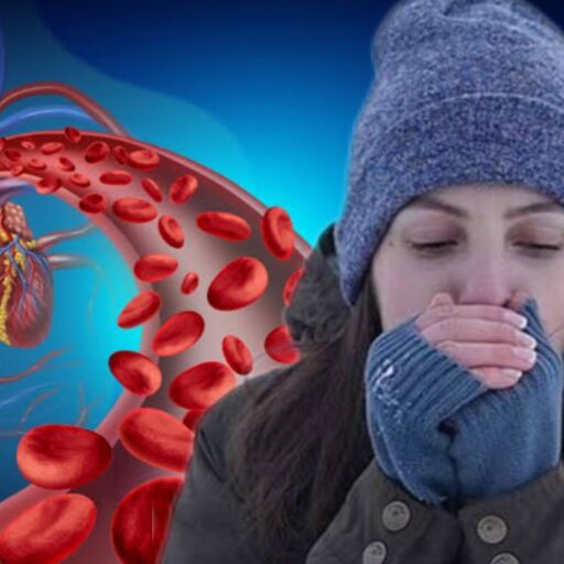 अत्यधिक ठंड का स्वास्थ्य पर प्रभाव, रक्त प्रवाह और इम्युनिटी पर असर अत्यधिक ठंड का स्वास्थ्य पर प्रभाव, रक्त प्रवाह और इम्युनिटी पर असर