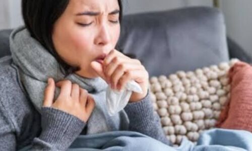 खांसी और बुखार से छाती के संक्रमण या निमोनिया से राहत पाने के उपाय खांसी और बुखार से छाती के संक्रमण या निमोनिया से राहत पाने के उपाय