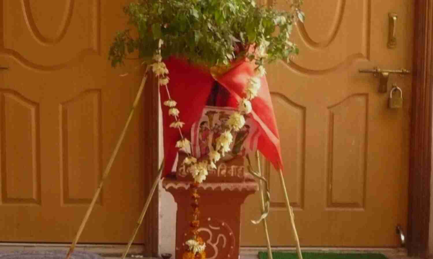 तुलसी विवाह 2024, जानिए इस बार कब है तुलसी विवाह और क्या है धार्मिक महत्व