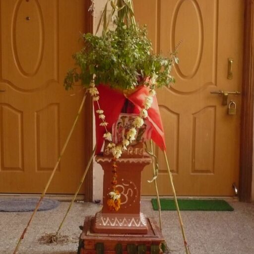 तुलसी विवाह 2024, जानिए इस बार कब है तुलसी विवाह और क्या है धार्मिक महत्व