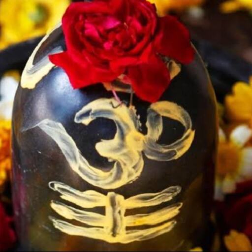 सोमवार के दिन भगवान शिव की पूजा और विशेष उपाय है समस्त समस्याओं का समाधान सोमवार के दिन भगवान शिव की पूजा और विशेष उपाय है समस्त समस्याओं का समाधान