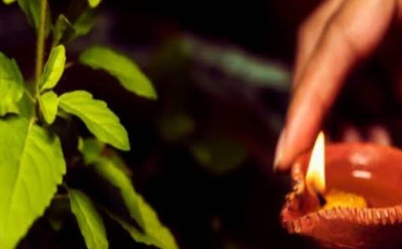 तुलसी माता की पूजा में इन सामान्य गलतियों से बचें, ताकि मिल सके सकारात्मक ऊर्जा का लाभ तुलसी माता की पूजा में इन सामान्य गलतियों से बचें, ताकि मिल सके सकारात्मक ऊर्जा का लाभ