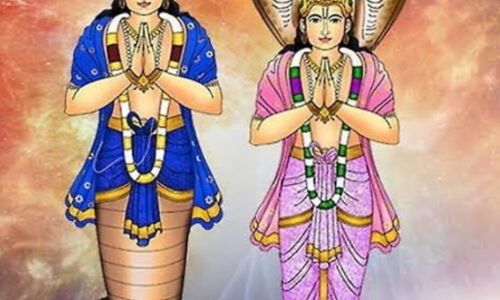 राहु-केतु के प्रभाव से बचने के लिए घर में बरतें ये सावधानियां राहु-केतु के प्रभाव से बचने के लिए घर में बरतें ये सावधानियां