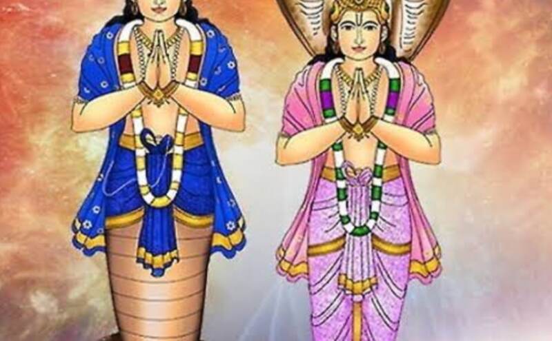 राहु-केतु के प्रभाव से बचने के लिए घर में बरतें ये सावधानियां