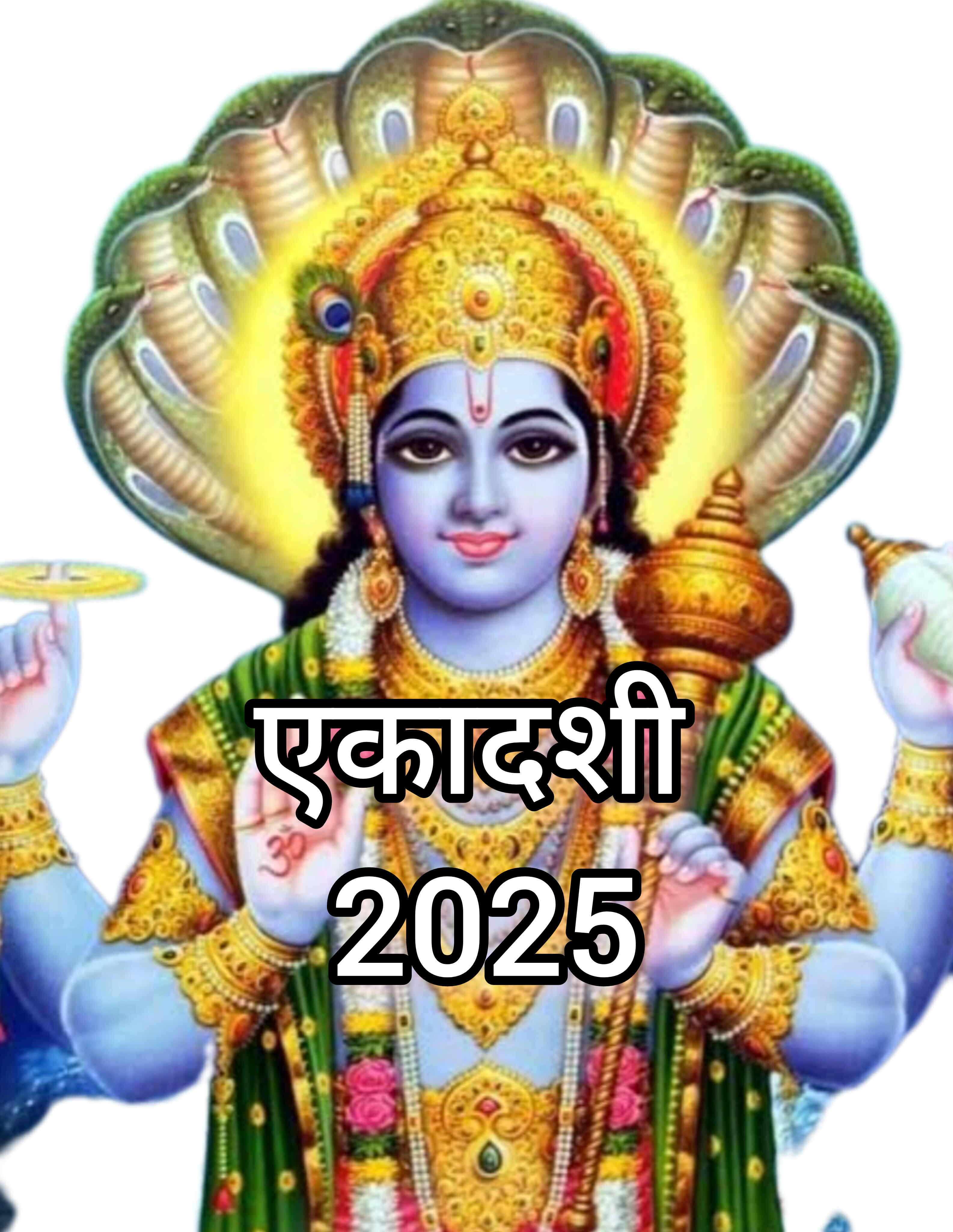 साल 2025 की पहली एकादशी व्रत, जानें भगवान विष्णु की पूजा के लिए शुभ मुहूर्त और पारण समय