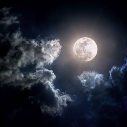 माघ पूर्णिमा 2025 कुंभ संक्रांति, गुरु रविदास जयंती और महाकुंभ का चौथा अमृत स्नान – जानिए शुभ मुहूर्त और महत्व माघ पूर्णिमा 2025 कुंभ संक्रांति, गुरु रविदास जयंती और महाकुंभ का चौथा अमृत स्नान – जानिए शुभ मुहूर्त और महत्व