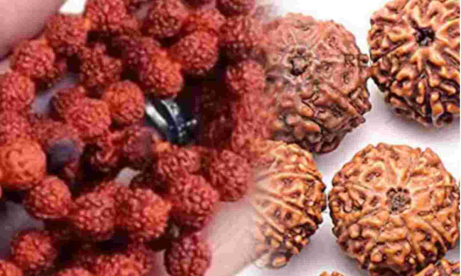 रुद्राक्ष धारण करने के नियम और लाभ, शिव कृपा पाने के लिए जरूर जानें ये बातें