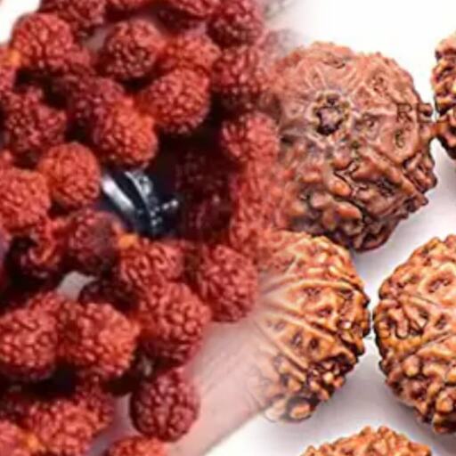 रुद्राक्ष धारण करने के नियम और लाभ, शिव कृपा पाने के लिए जरूर जानें ये बातें रुद्राक्ष धारण करने के नियम और लाभ, शिव कृपा पाने के लिए जरूर जानें ये बातें