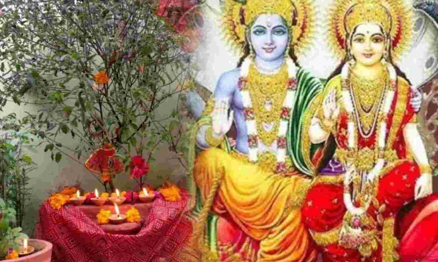 विजया एकादशी 2025, फाल्गुन मास की शुभ तिथि, जानें तुलसी पूजन और उपायों का महत्व