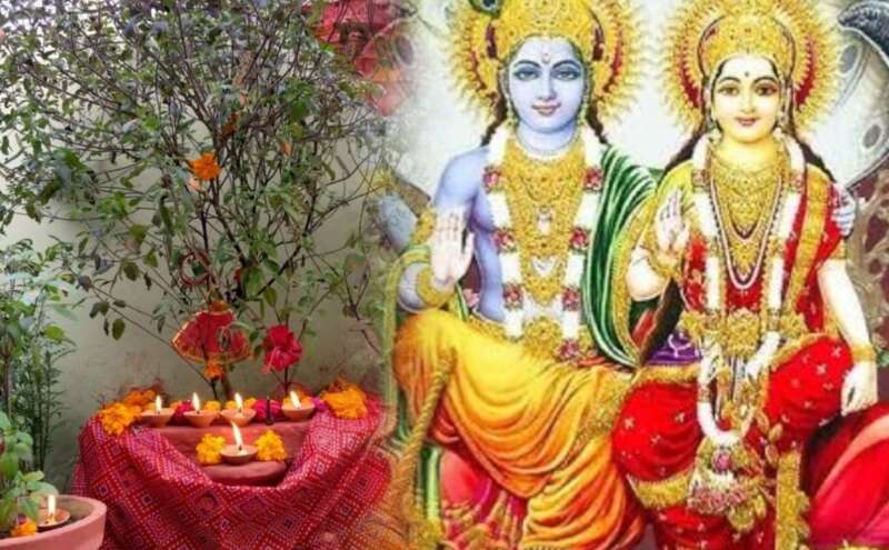 विजया एकादशी 2025, फाल्गुन मास की शुभ तिथि, जानें तुलसी पूजन और उपायों का महत्व विजया एकादशी 2025, फाल्गुन मास की शुभ तिथि, जानें तुलसी पूजन और उपायों का महत्व