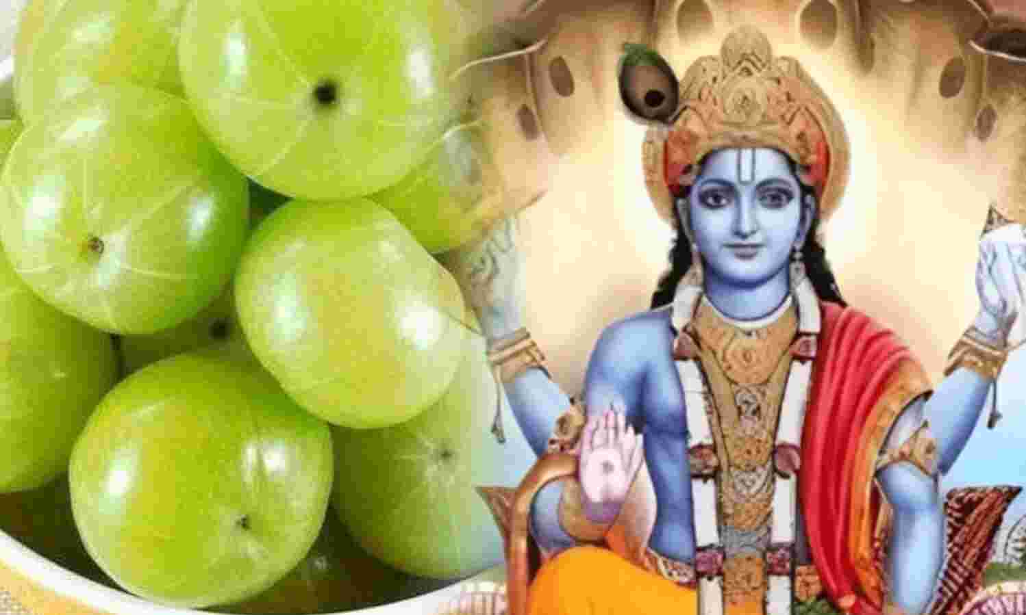 आमलकी एकादशी 2025, भगवान विष्णु और आंवले के पूजन से मिलेगा विशेष पुण्य