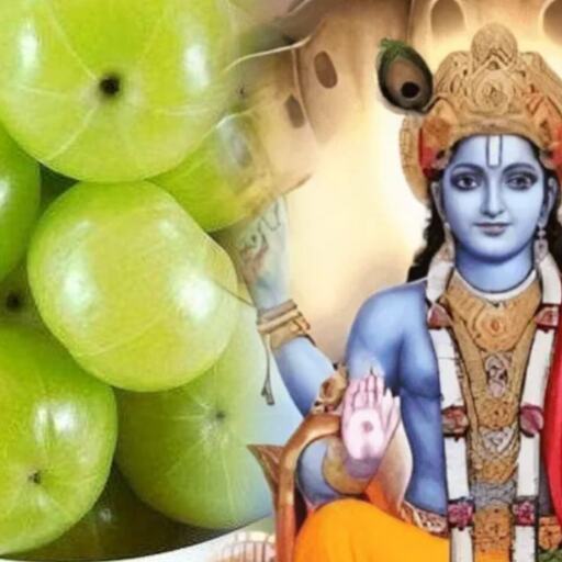 आमलकी एकादशी 2025, भगवान विष्णु और आंवले के पूजन से मिलेगा विशेष पुण्य