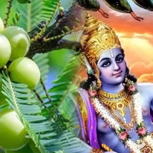 आमलकी एकादशी 2025, सौभाग्य और समृद्धि के लिए करें ये विशेष उपाय