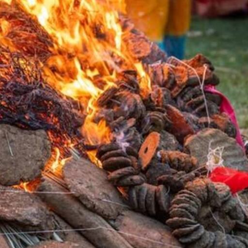 होलिका दहन में समर्पित करें ये विशेष सामग्री, जानें क्या चढ़ाना शुभ और क्या करना चाहिए वर्जित