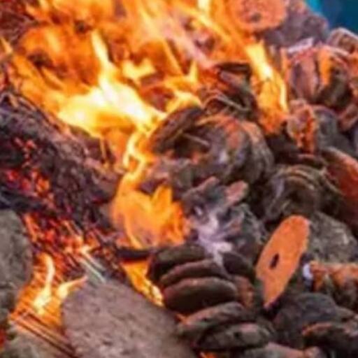 होलिका दहन की पूजा में आवश्यक सामग्री, पूरी लिस्ट और महत्व