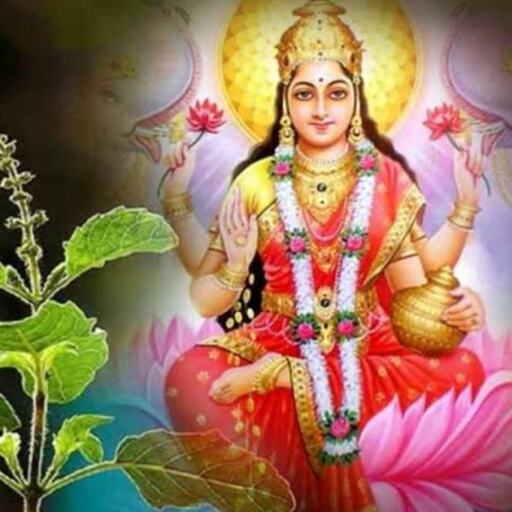 तुलसी के चमत्कारी उपाय, आर्थिक समृद्धि और मां लक्ष्मी की कृपा पाने के सरल उपाय