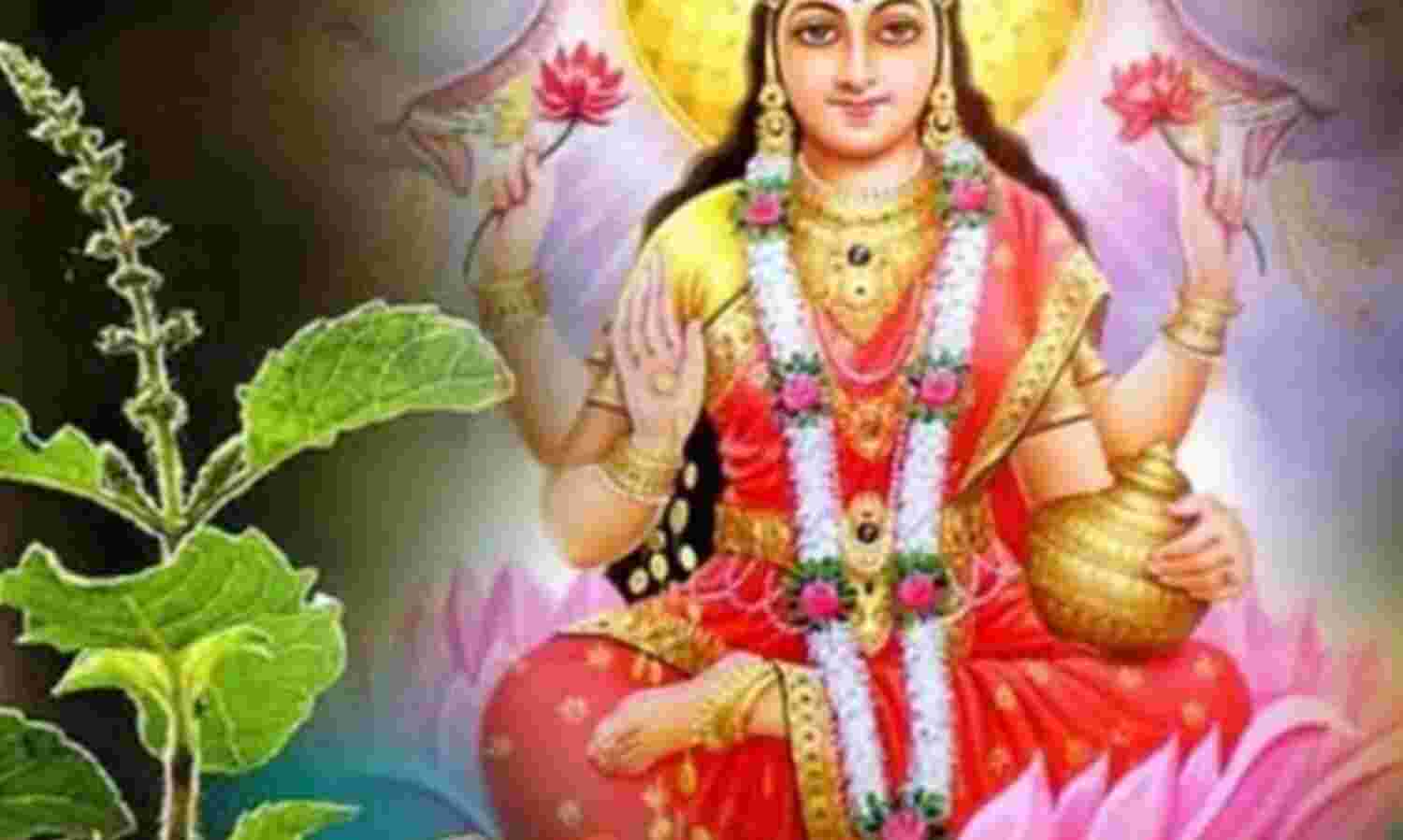 चैत्र माह में तुलसी पूजन का विशेष महत्व, इन नियमों का पालन करने से घर में आएगी समृद्धि