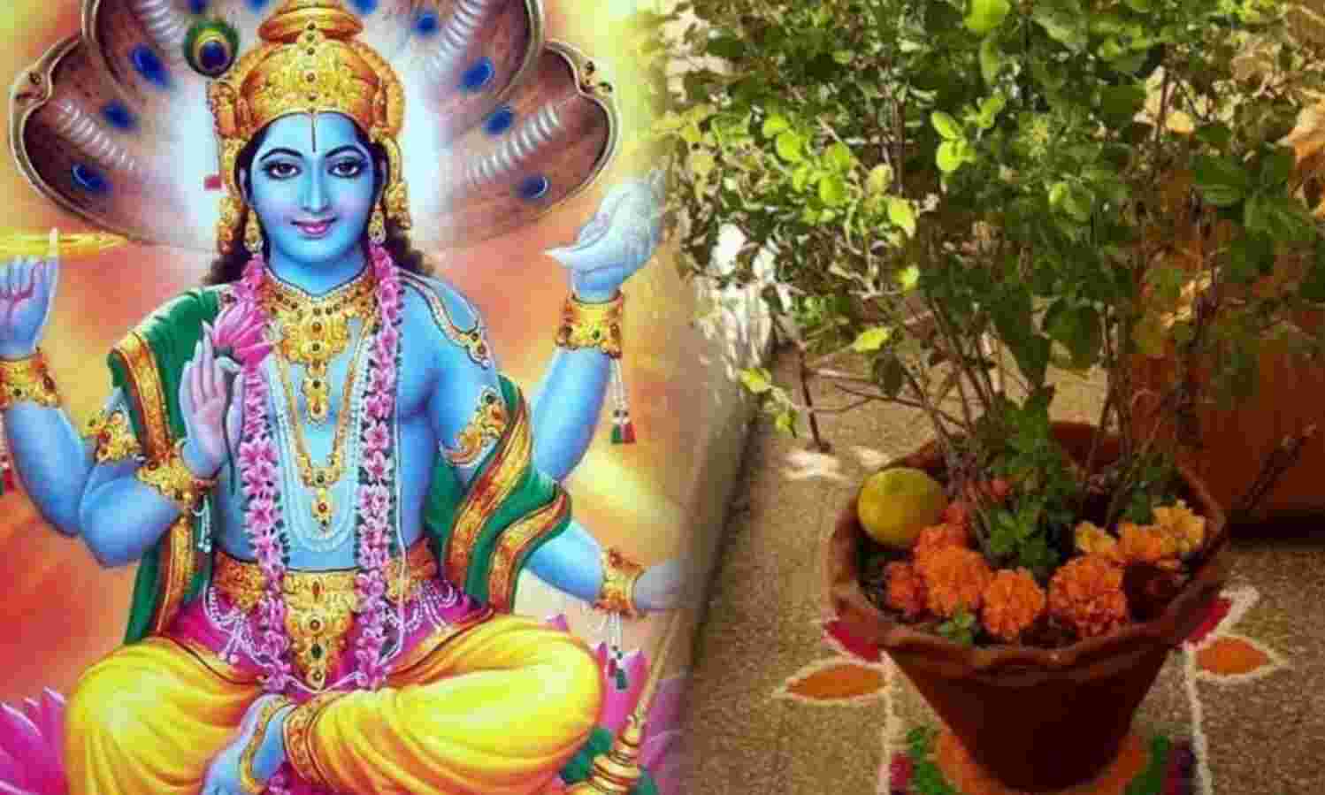 कामदा एकादशी 2025, 8 अप्रैल को करें तुलसी माता के विशेष नामों का जाप, मिलेगा पुण्य, सौभाग्य और विष्णु कृपा का आशीर्वाद