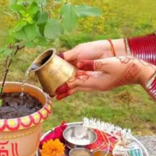 घर में तुलसी का पौधा, धार्मिक आस्था से लेकर स्वास्थ्य लाभ तक, जानिए क्यों है इतना महत्वपूर्ण