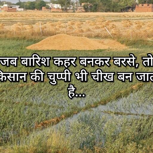 बारिश और आंधी ने चौबेपुर में मचाई तबाही, मेहनत की फसलें तबाह बारिश और आंधी ने चौबेपुर में मचाई तबाही, मेहनत की फसलें तबाह