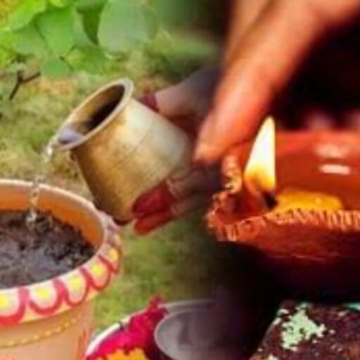 रोज़ाना तुलसी सेवा से घर में आती है मां लक्ष्मी की कृपा, दीपक जलाने से होता है हर कष्ट का अंत